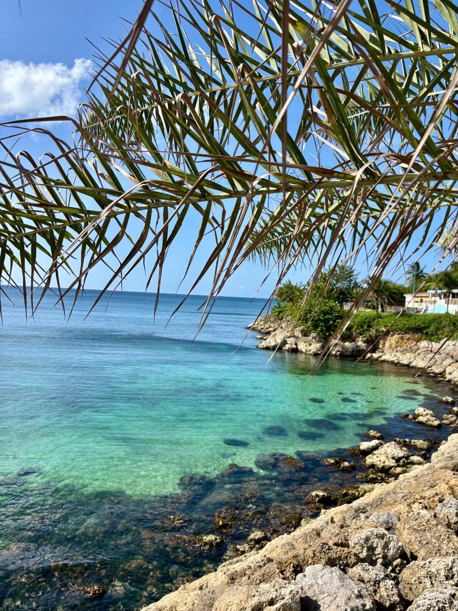 Gite Tournesol - A 2 Min De La Plage Et Du Bourg Anse-Bertrand Exteriör bild